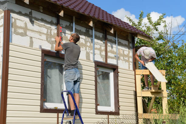 Best Siding Painting and Refinishing  in Willow Oak, FL